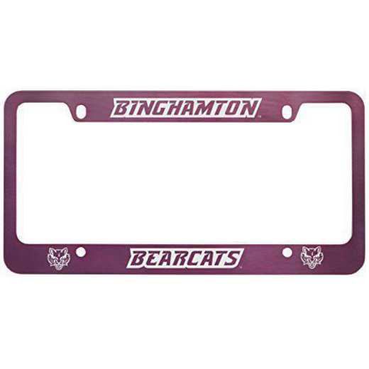 SM-31-PNK-BNGHMTN-1-SMA: LXG SM/31 CAR FRAME PINK, Binghamton